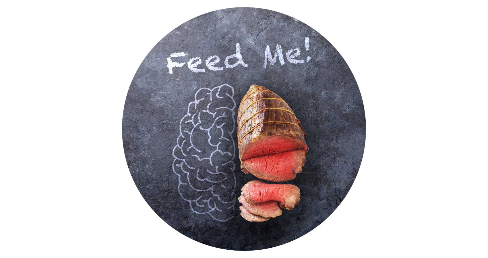 Image of blackboard with brain drawing & roast me saying 'feed me'