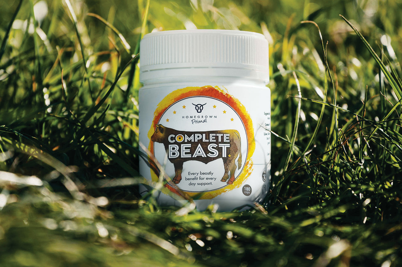 Why We Created Complete Beast | A New Standard In Daily Nutrition