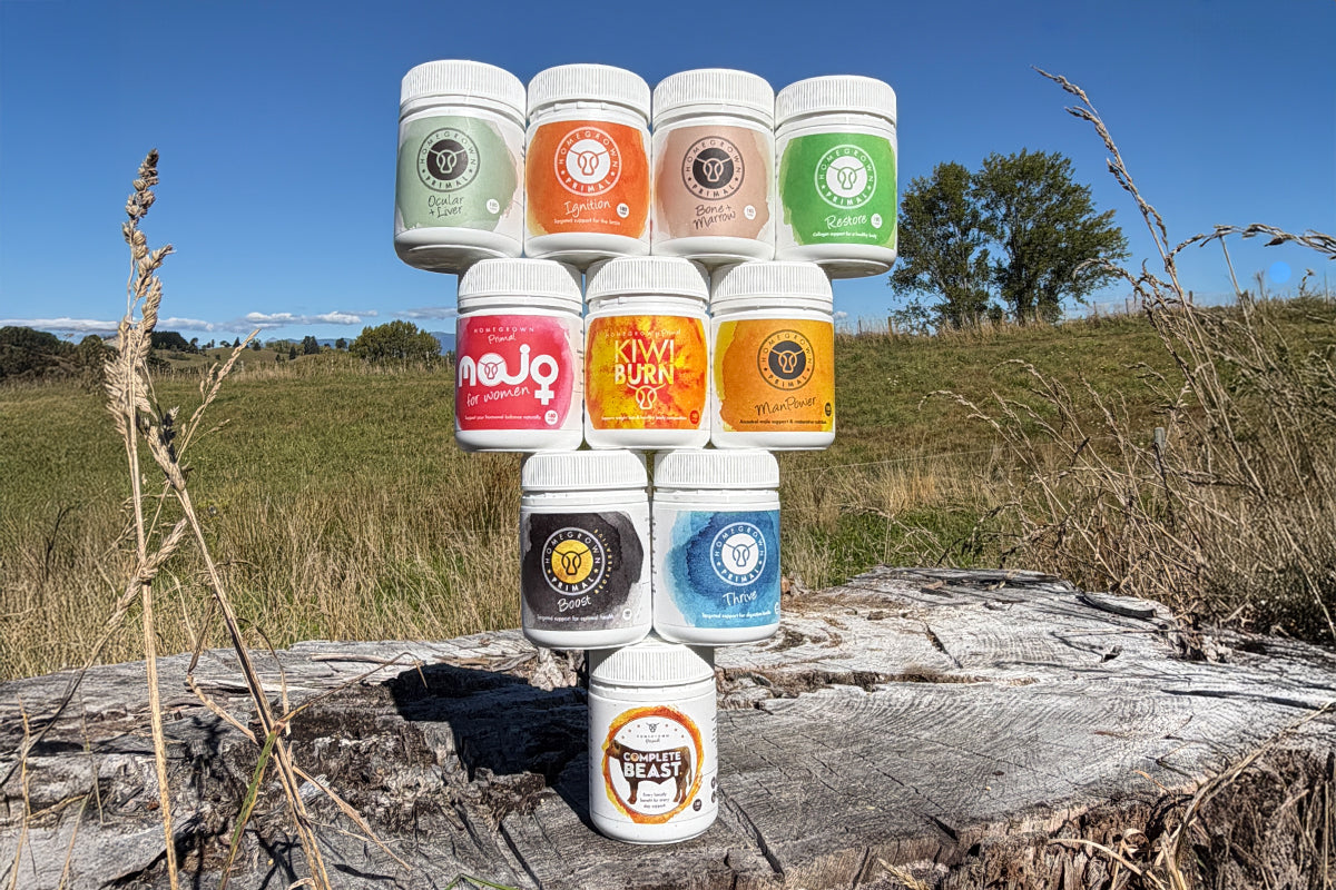 How to Build a Daily Organ Nutrition Routine