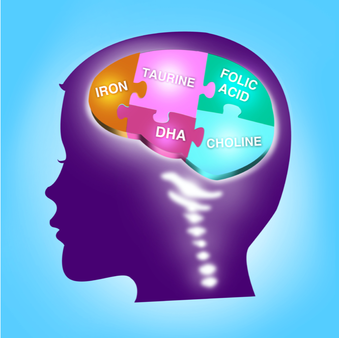 What is Choline and why is it essential for my diet?