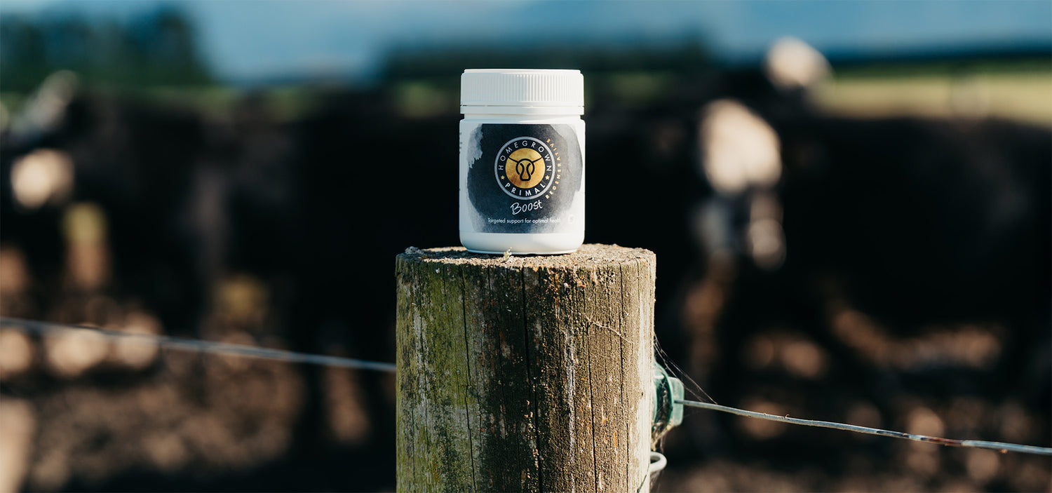 Homegrown Primal NZ