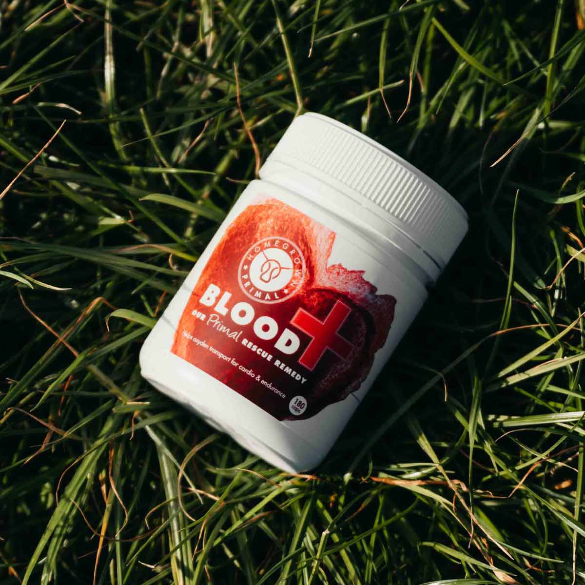 BLOOD+ | Blood, Spleen, Liver
