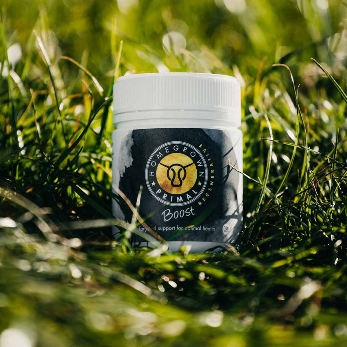 BOOST | Liver
