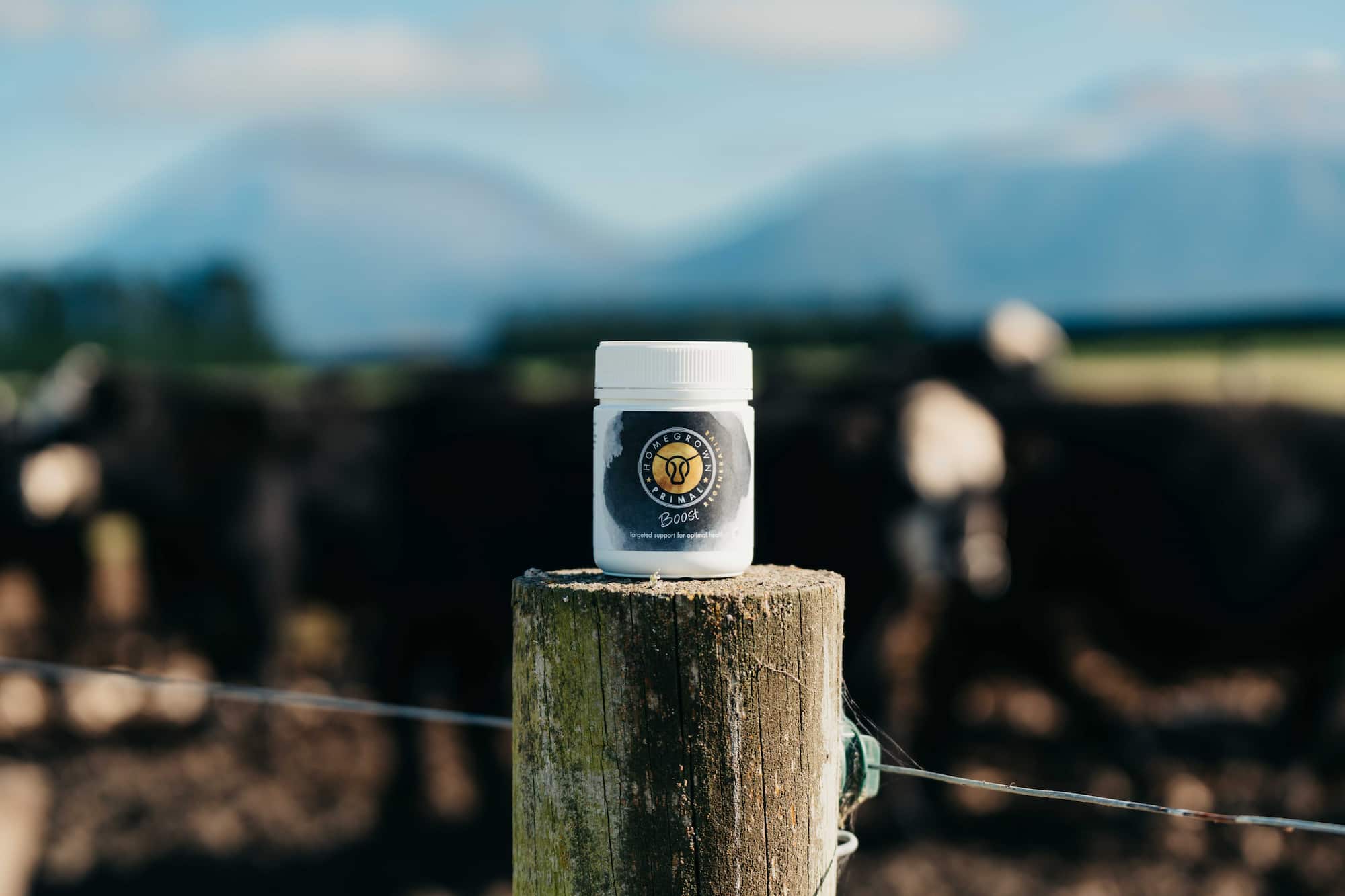A pottle of Boost (grass fed liver) in a New Zealand cattle farm.