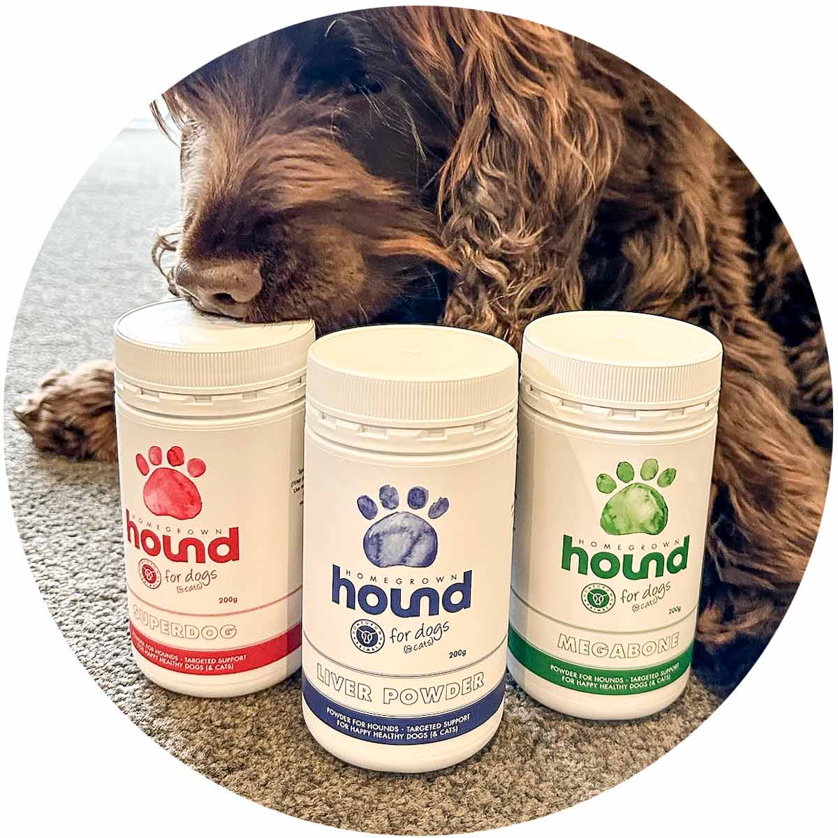 Bovine Liver powdered supplement for dogs & cats, Homegrown Primal
