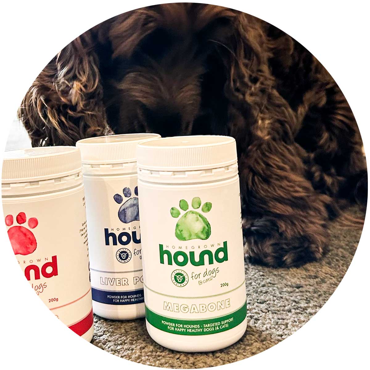 Bovine Bone Broth & Bone Collagen powdered supplement for dogs & cats, Homegrown Primal