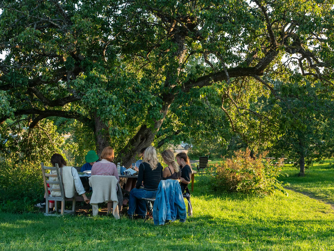 Food is the bridge to connection at Christmas