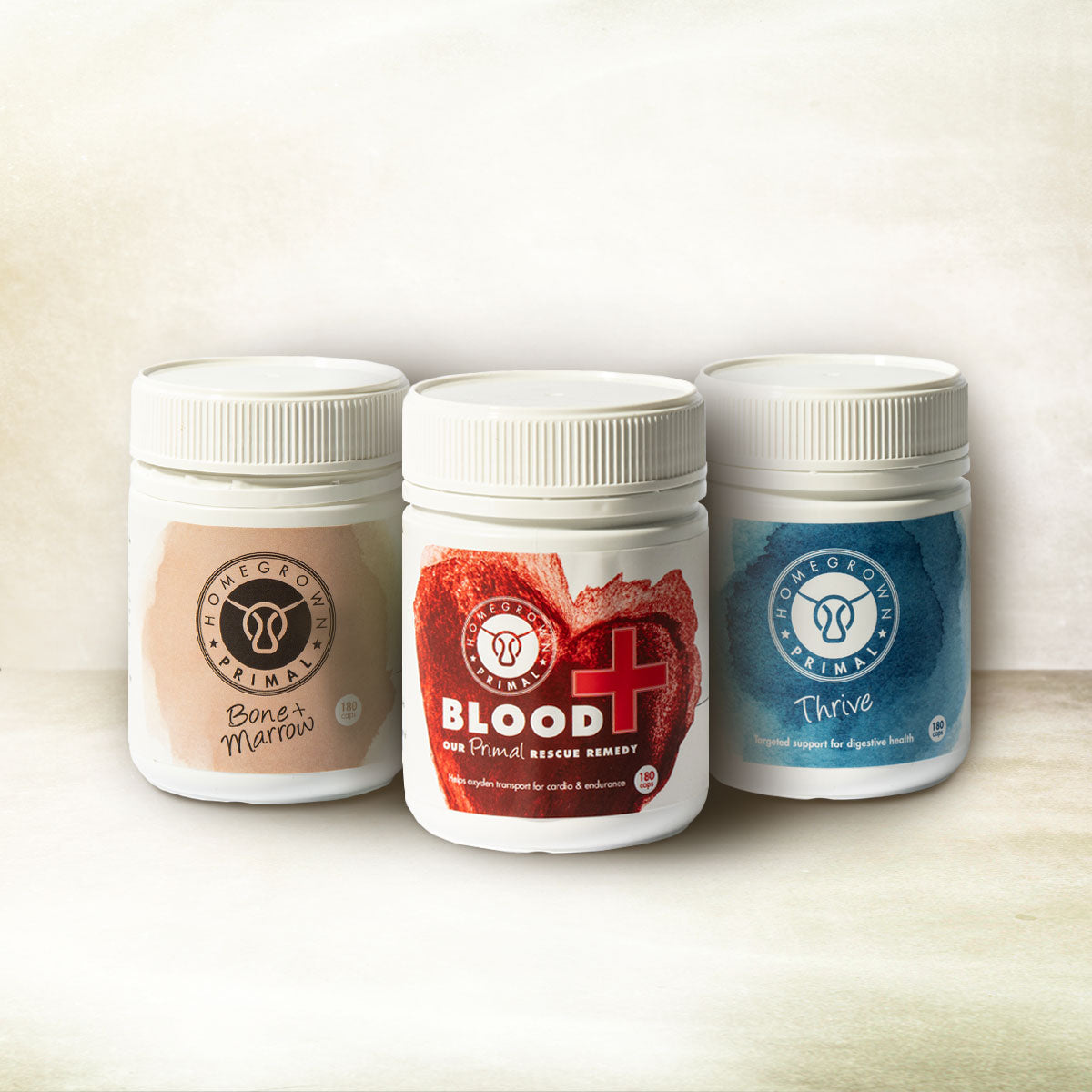 Iron and why it is so important: