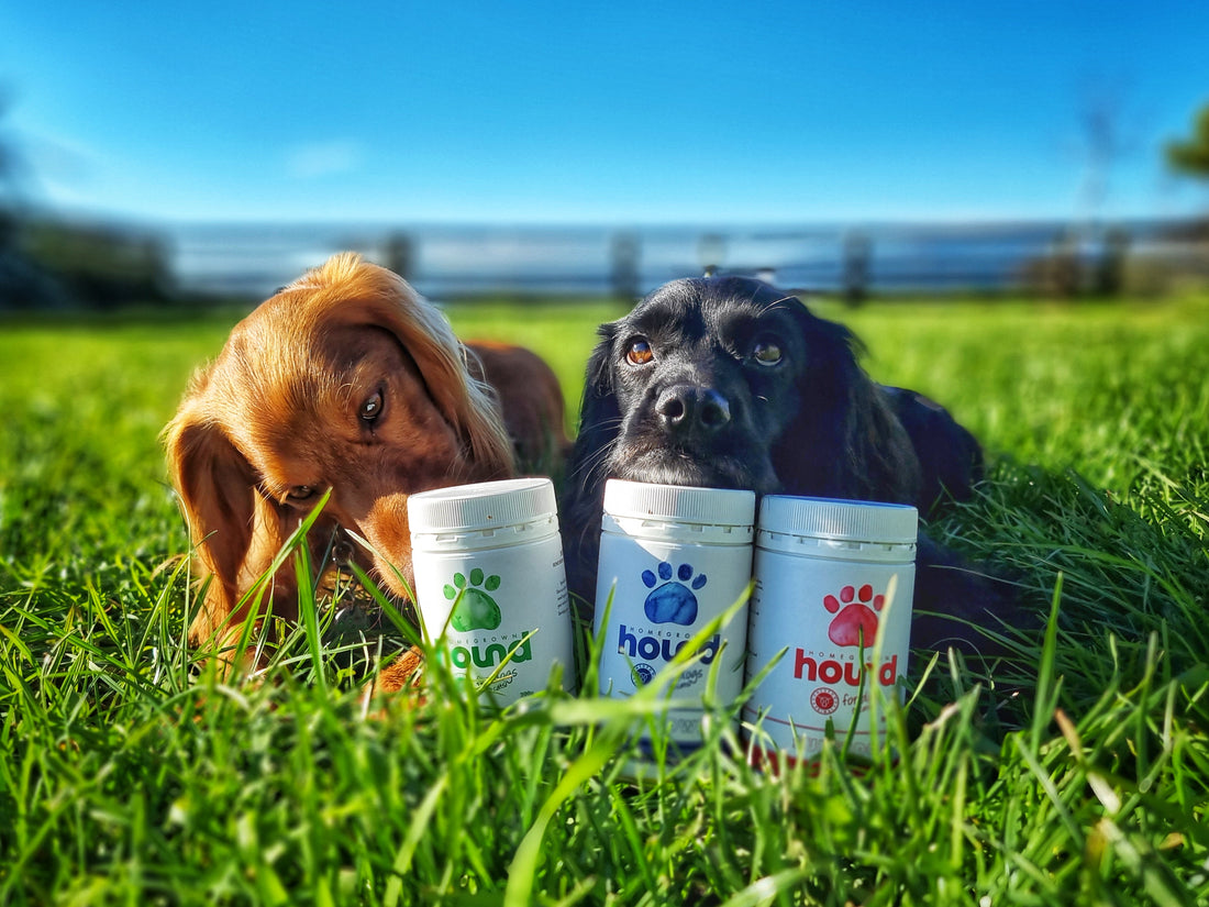 Dog Treats? Too much nutrition?