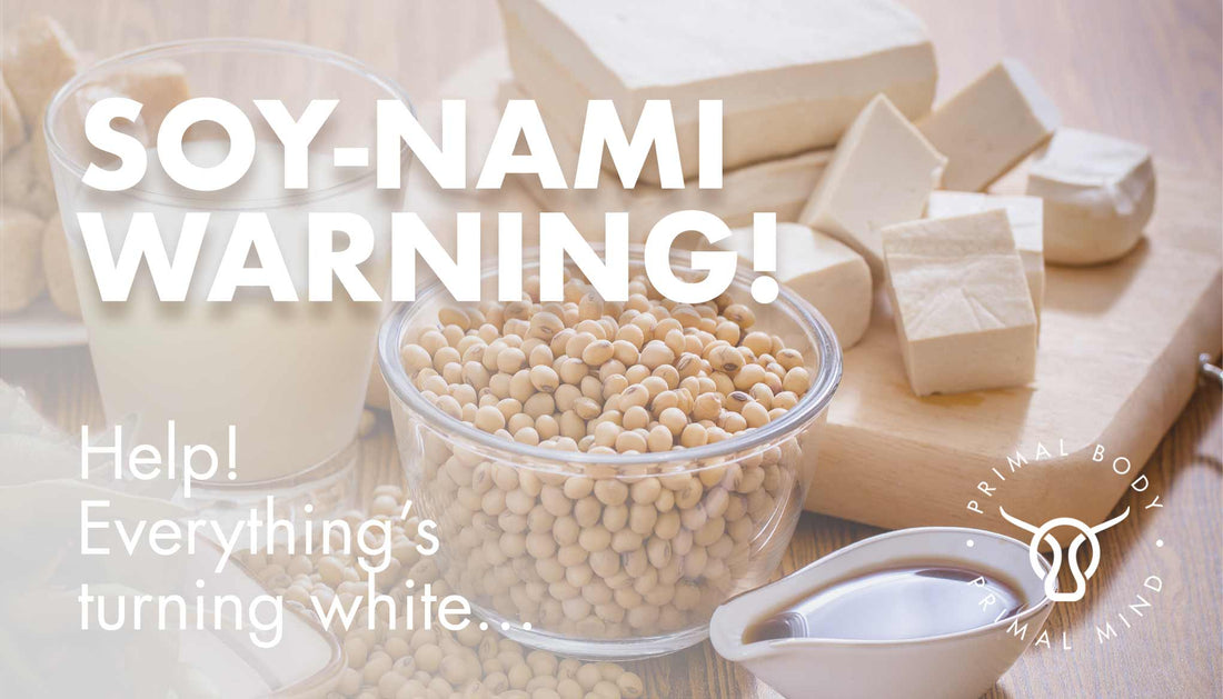 SOY Why is this so bad for me??