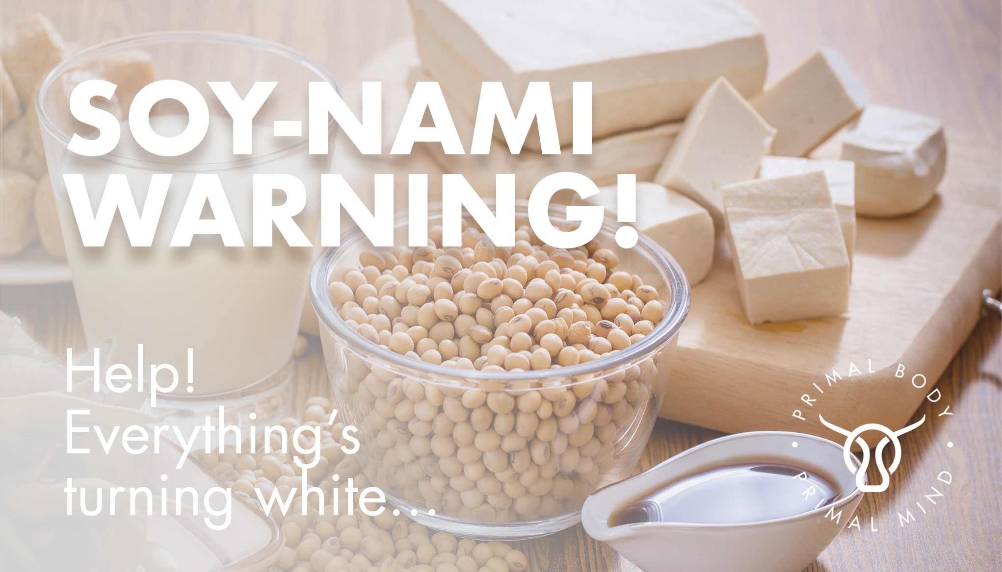 SOY Why is this so bad for me??