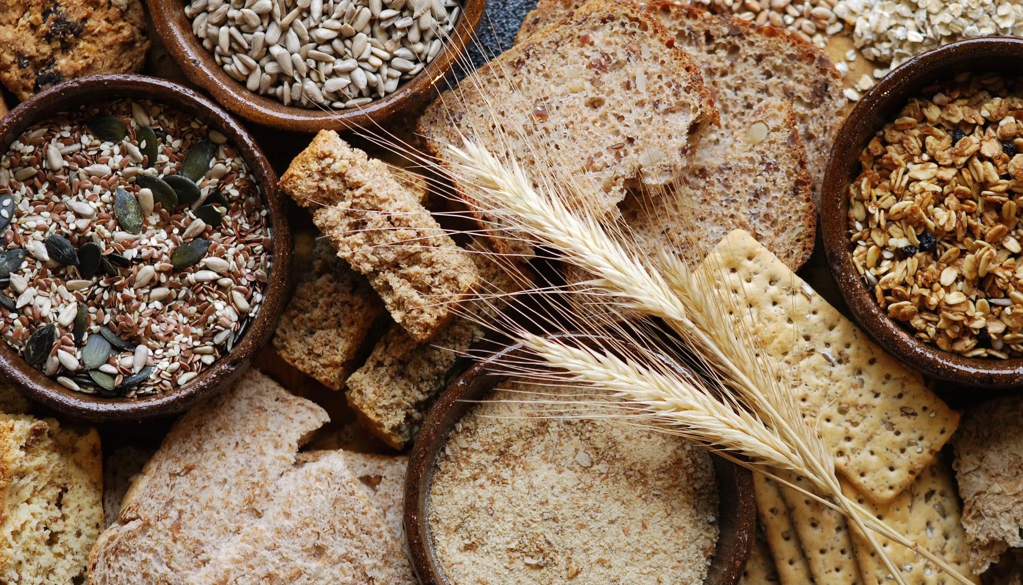 Are Grains Bad For Me??