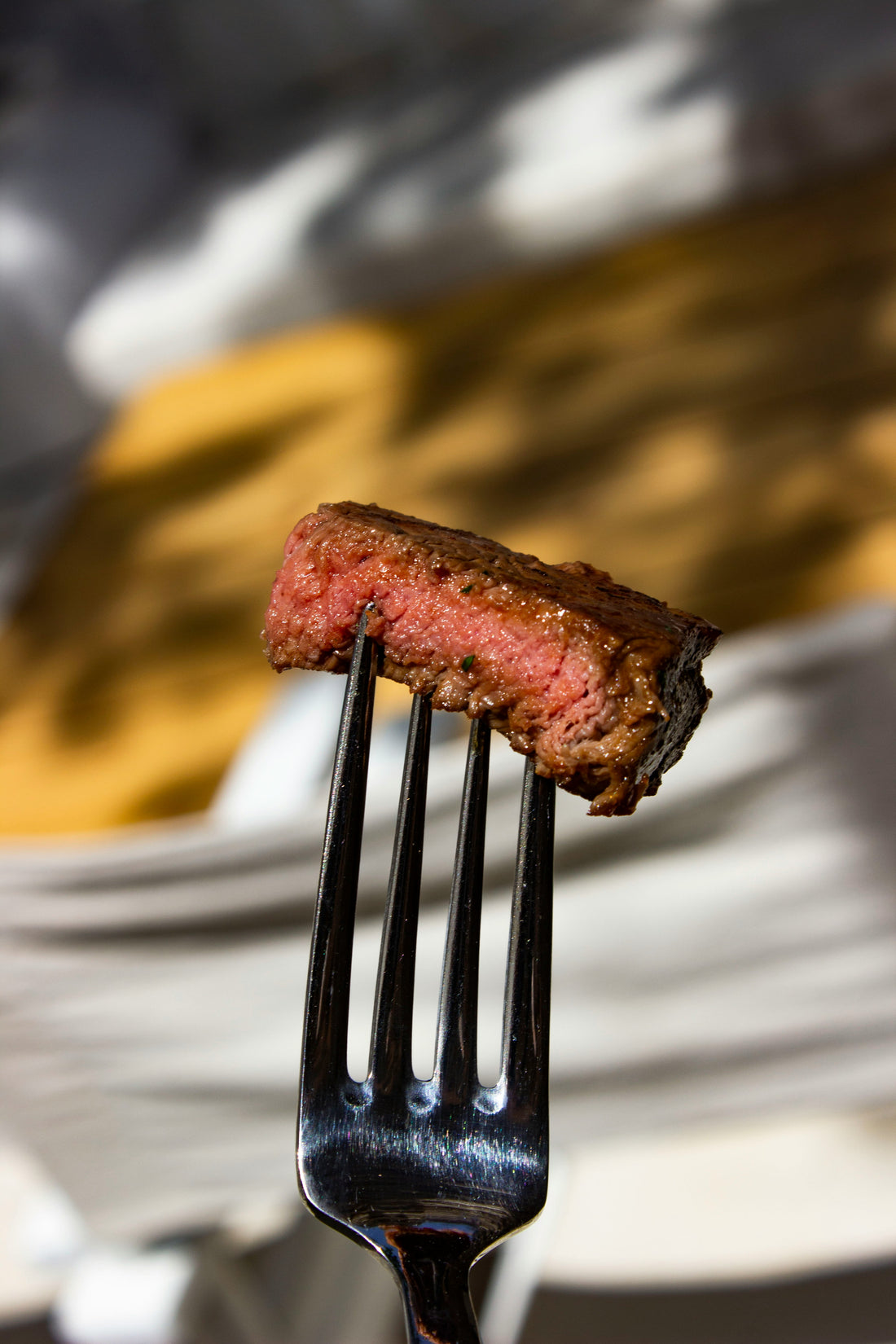 Carnivore Diet Guide - Homegrown Primal