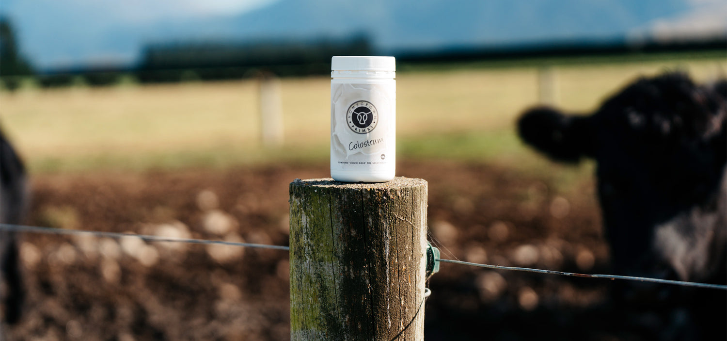 Homegrown Primal's colostrum is nature's original superfood, providing essential support for the gut and immune system