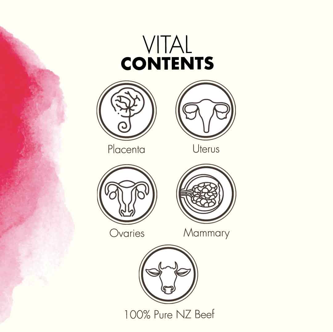 MOJO FOR WOMEN | Beef Organ Blend