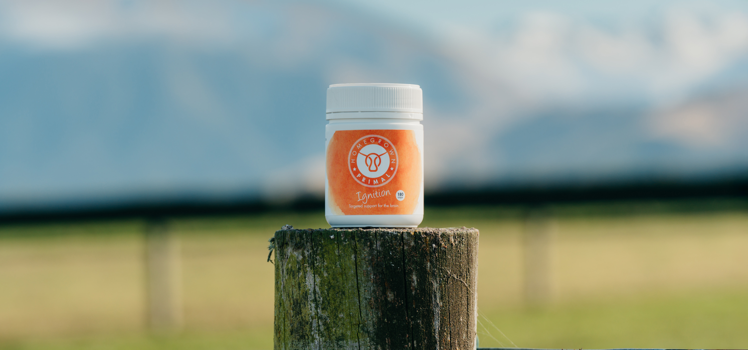 Ignition is a natural brain health supplement made from 100% grass-fed and grass-finished New Zealand bovine brain. Each capsule contains freeze-dried beef brain, a nutrient-dense organ traditionally consumed to support normal cognitive function, focus, emotional wellbeing and clarity.