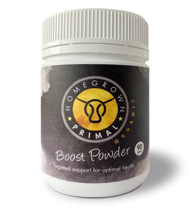 Front view of our Boost Powder supplement