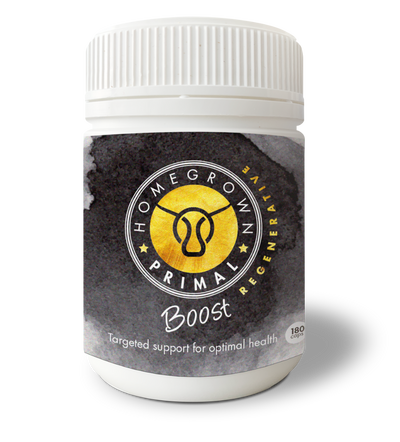 Front view of our Boost supplement